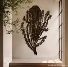 BANKSIA Oldmanis