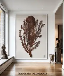 BANKSIA Oldmanis