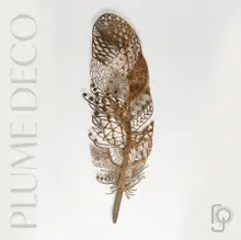 PLUMES — Up Close