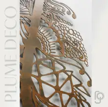 PLUMES — Up Close
