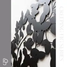 CREEPING FIGS — Up Close