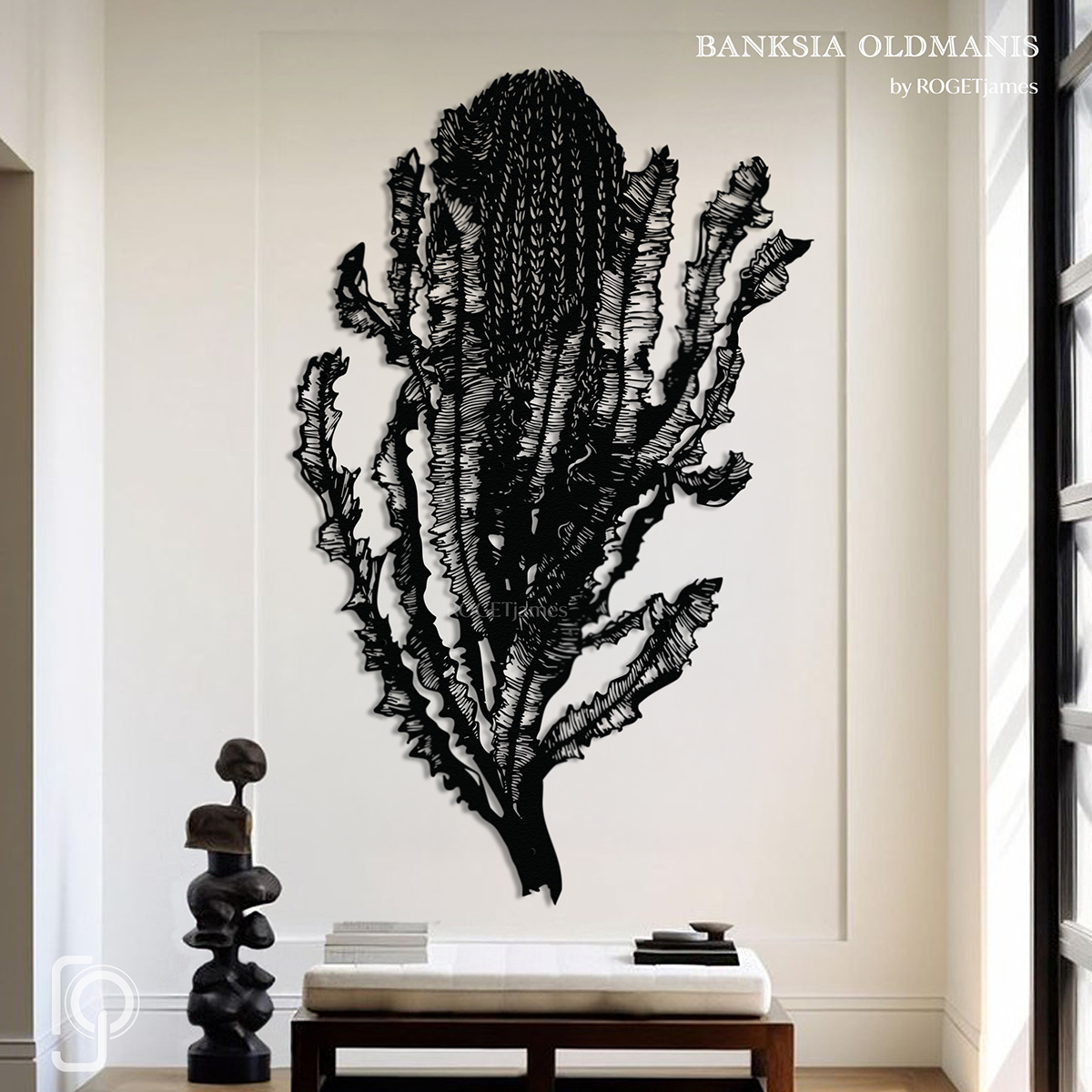 BANKSIA Oldmanis