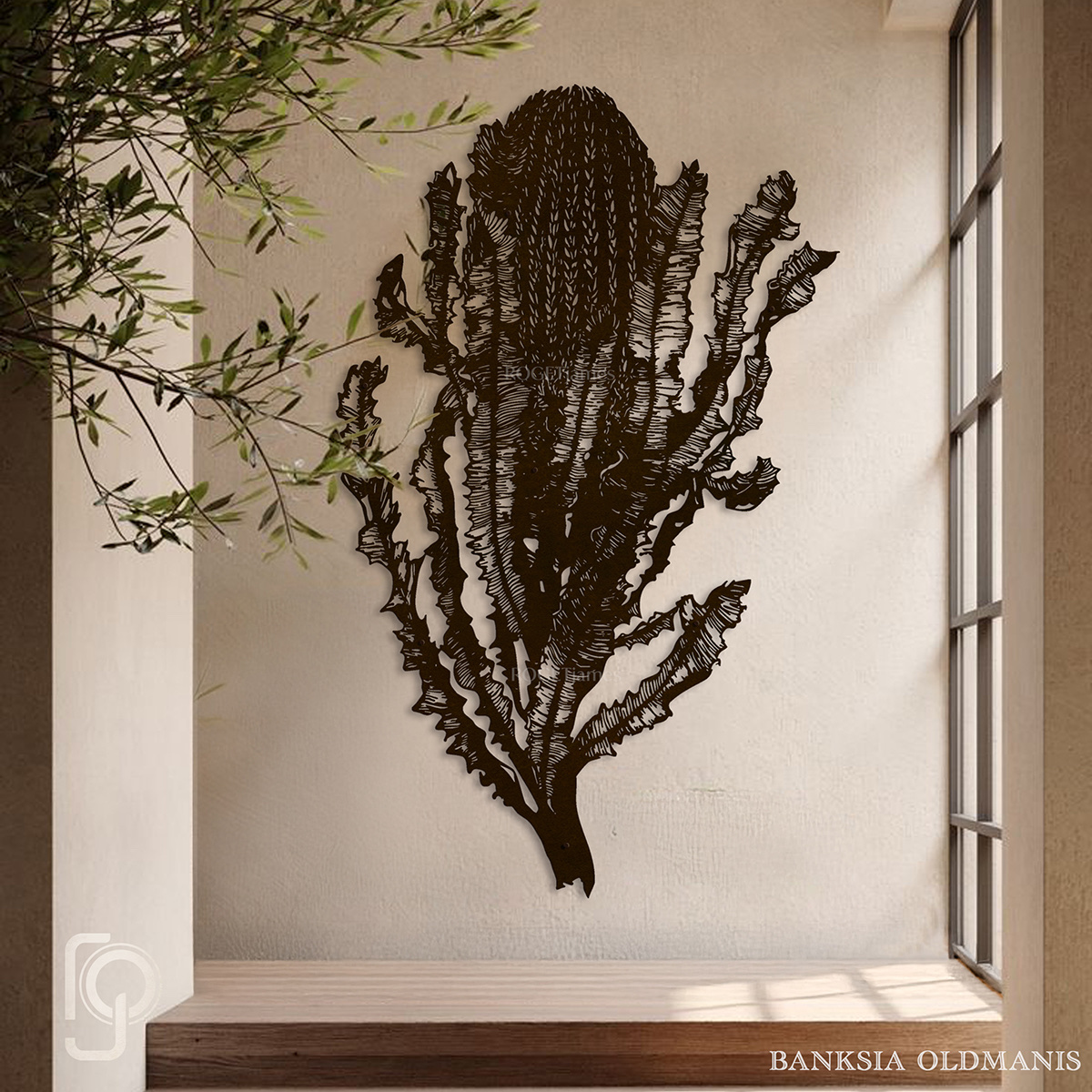 BANKSIA Oldmanis