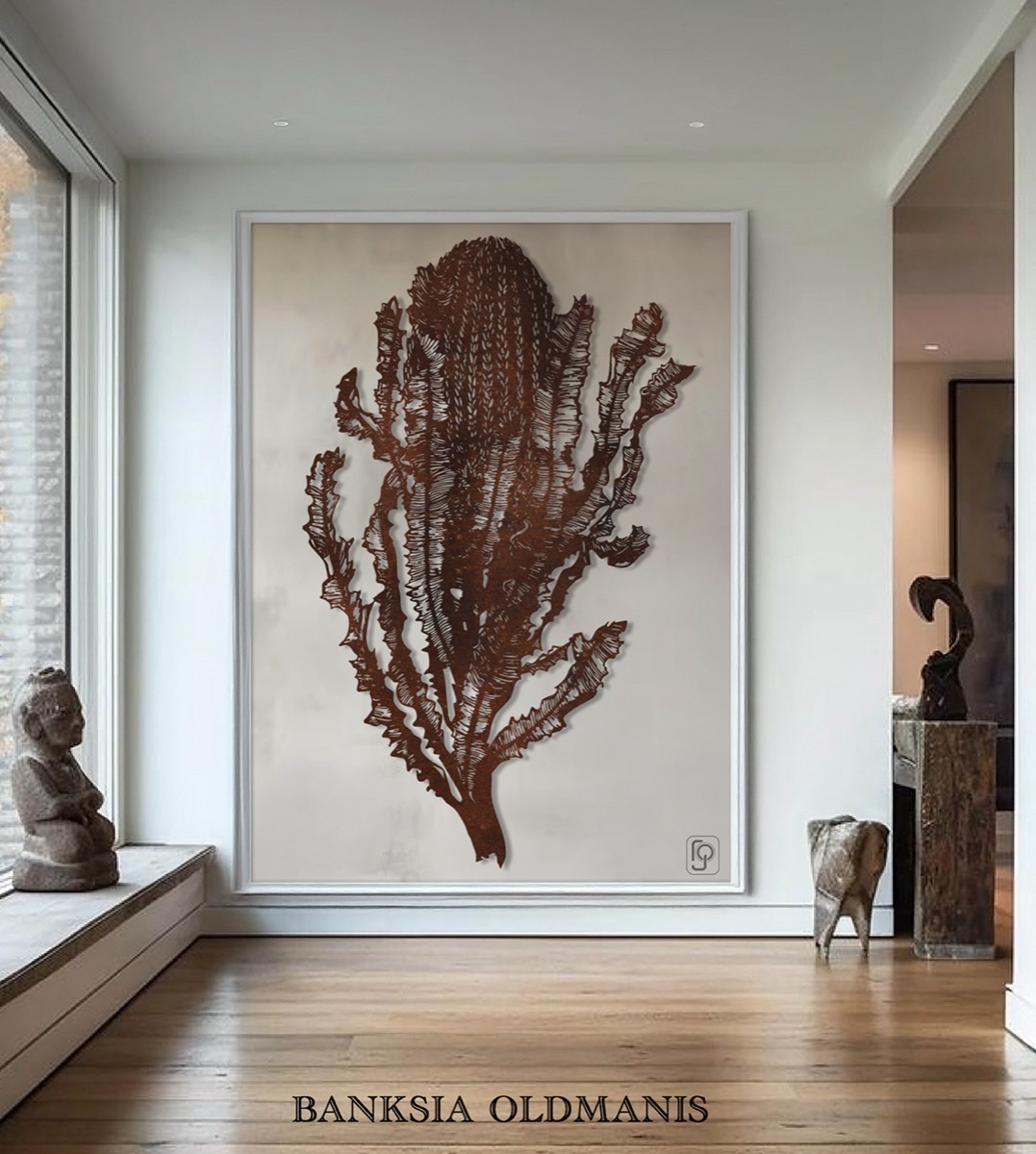 BANKSIA Oldmanis
