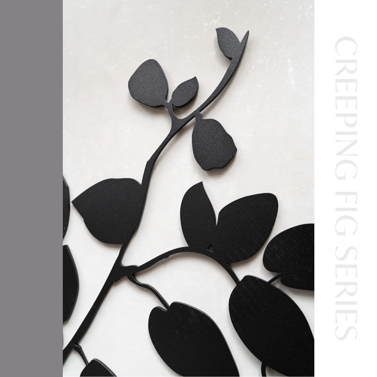 CREEPING FIG SERIES — Creeping fig metal wall art